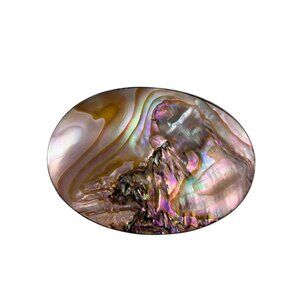 Oblong Abalone Shell Brooch G. Silver Multicolor Jewelry Handmade Vintage